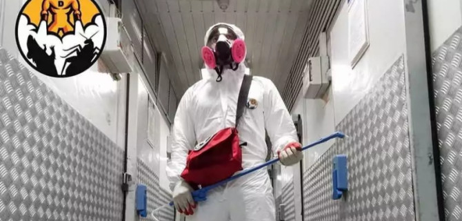 Почему необходима обработка автомобилей от коронавируса?