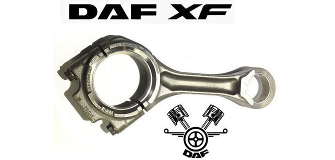 DAF – популярное грузовое средство для перевозки крупногабаритных грузов