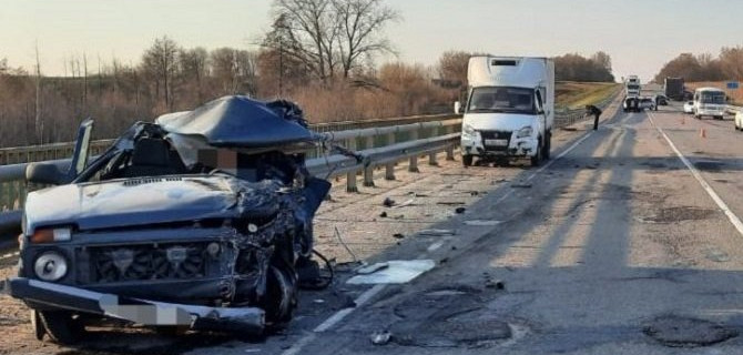 Водитель «Нивы» погиб в ДТП в Курской области