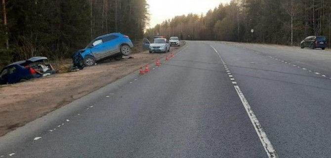 Пожилой водитель погиб в ДТП в Рамешковском районе Тверской области