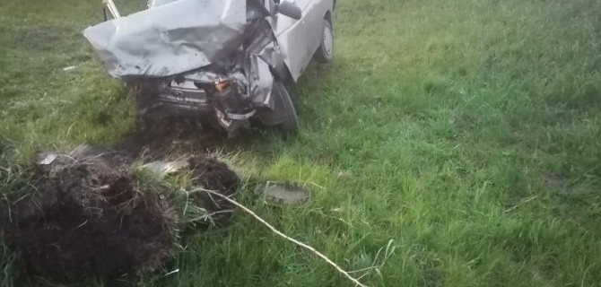 Водитель погиб в результате ДТП в Курской области