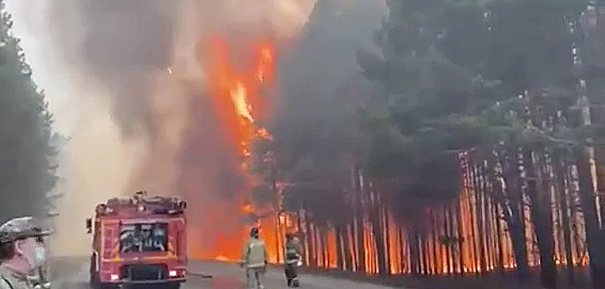 Трассу между Екатеринбургом и Тюменью перегородил сильнейший лесной пожар