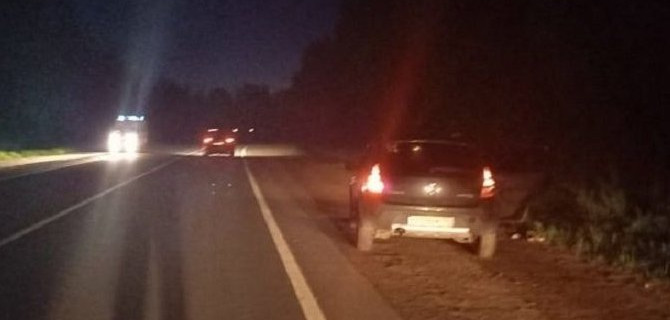 Женщина пострадала в ДТП с лосем в Тверской области 