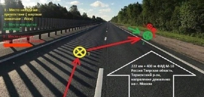 В Тверской области водитель наехал на мертвого лося и насмерть сбил молодого парня