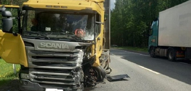 Двое взрослых и 5-летний ребенок погибли в ДТП в Ленобласти