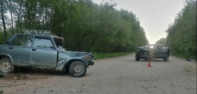 В Вельском районе Архангельской области в ДТП погиб пожилой водитель ВАЗа