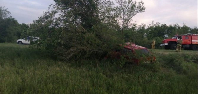В Волгоградской области ВАЗ врезался в дерево – погибли двое