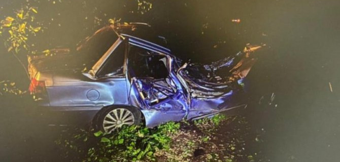 В Воронежской области автомобиль врезался в дерево – пострадали две девушки