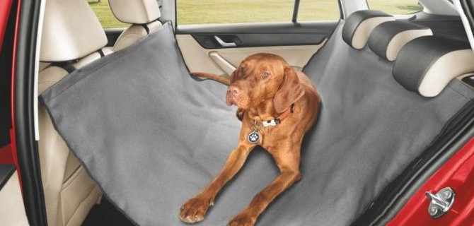 ŠKODA рассказала, как безопасно путешествовать с домашними животными в автомобиле