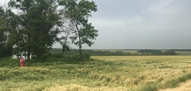 Женщина погибла в ДТП в Ростовской области