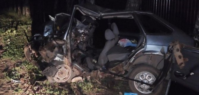 ВАЗ врезался в дерево в Узловском районе – водитель погиб