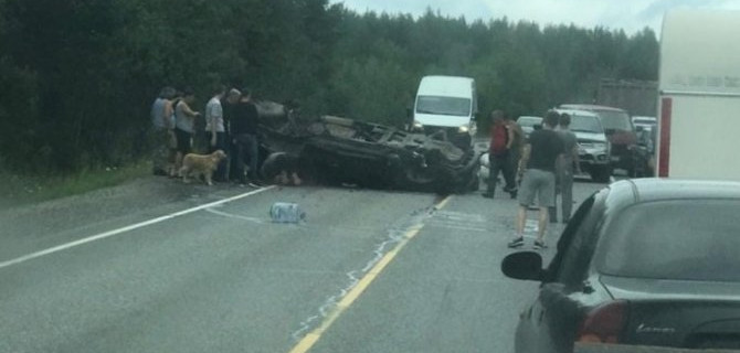 В ДТП в Кандалакшском районе погиб человек