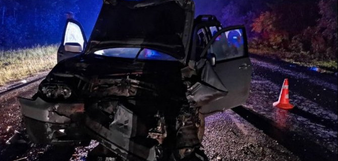 4-летняя девочка погибла в ДТП под Брянском