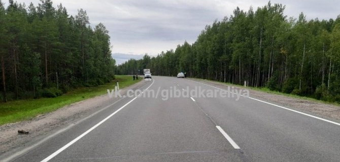 В Сегежском районе Карелии насмерть сбили пешехода