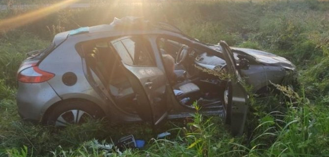 Женщина погибла в ДТП с лосем в Старорусском районе Новгородской области