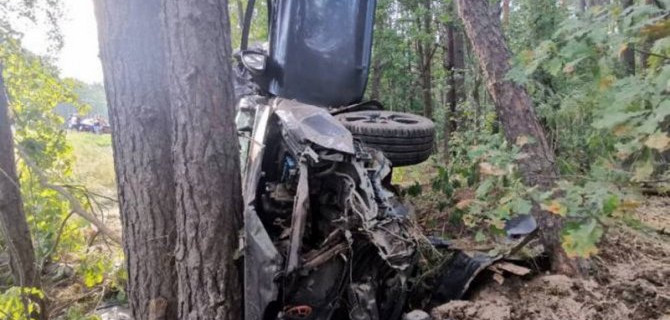 В Брянской области автомобиль врезался в дерево – водитель погиб