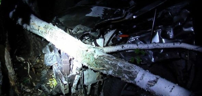 В Самарской области на ночной трассе под колёсами «Лексуса» погиб лось