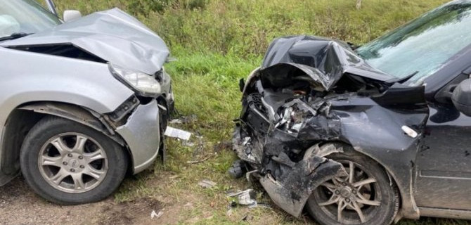 Трое взрослых и ребенок пострадали в ДТП под Тверью