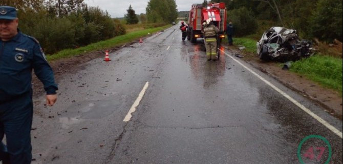 Водитель легковушки погиб в ДТП в Ленобласти
