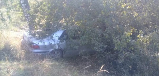 2-летняя девочка пострадала в ДТП в Брянской области