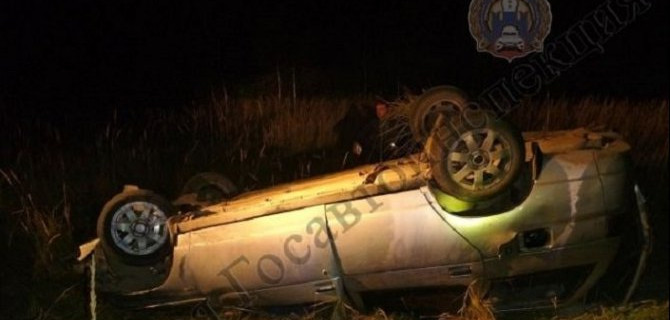 Два человека погибли в ДТП с лосем в Тульской области