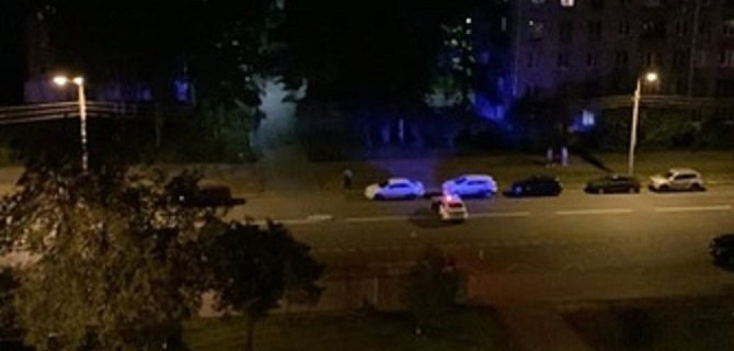 В Петербурге водитель насмерть сбил женщину и собаку и скрылся