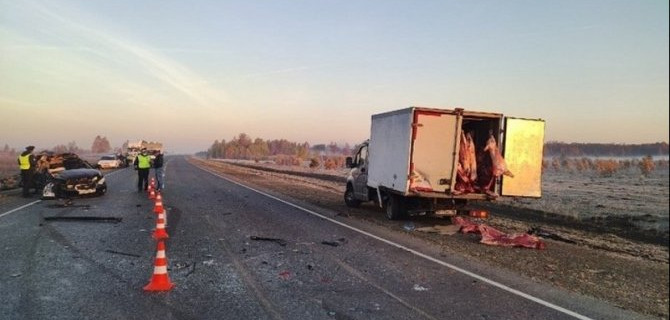 Два пассажира иномарки погибли в ДТП в Свердловской области