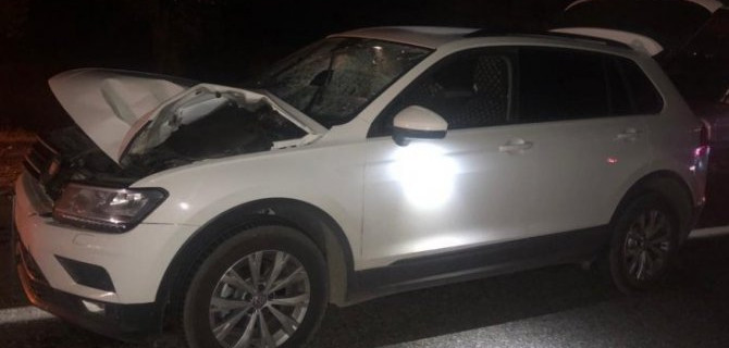 На Ставрополье иномарка насмерть сбила пешехода