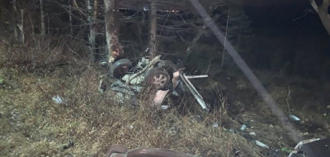 В ДТП в Тюменской области погиб водитель автомобиля с собакой