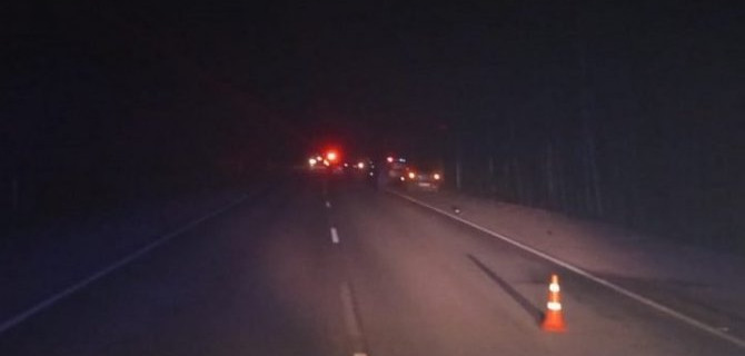 Пешеход погиб в Корткеросском районе Коми