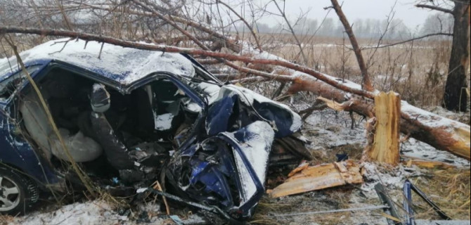 В Омской области ВАЗ врезался в дерево – погиб человек