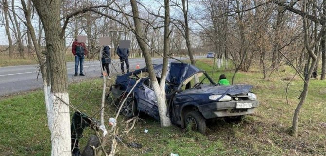 В ДТП в Ростовской области погибла женщина