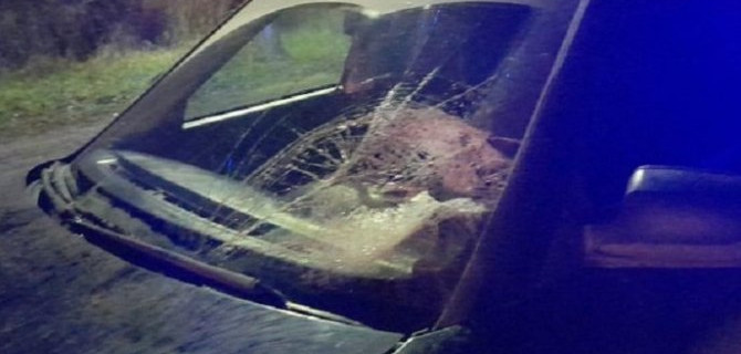 В Касимове «Лада» сбила женщину