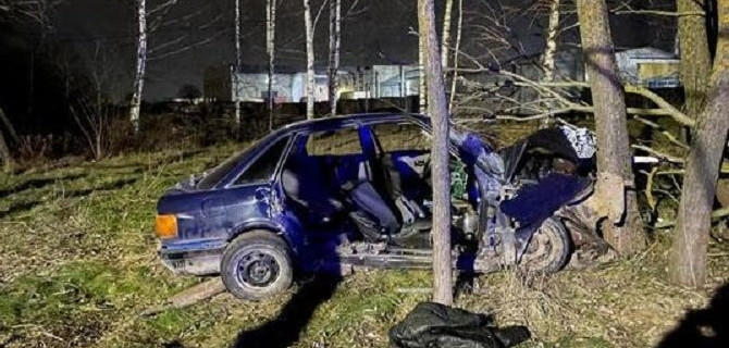 В Великих Луках иномарка врезалась в дерево – погибла женщина