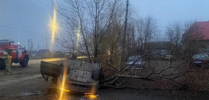 В Волгоградской области ВАЗ врезался в дерево – водитель погиб