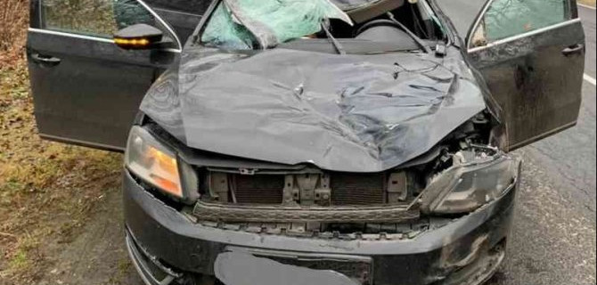 Пассажир иномарки погиб в ДТП с лосем в Брянской области