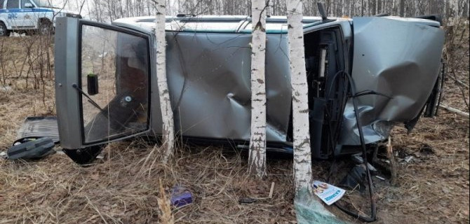 В Марий Эл из-за собаки опрокинулась машина – пострадали двое