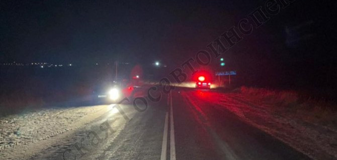 В Алексинском районе Тульской области насмерть сбили пожилую женщину