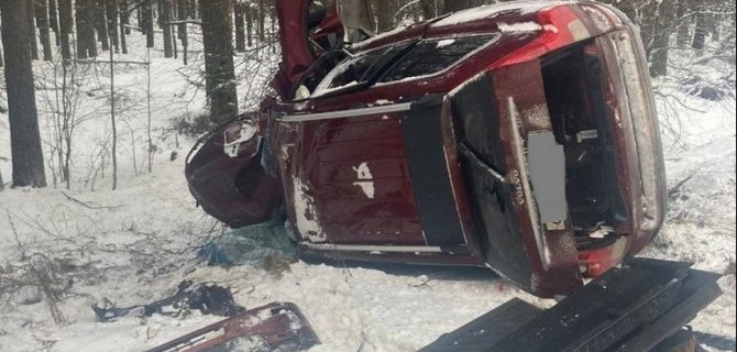 В Унечском районе иномарка врезалась в дерево – пострадал водитель