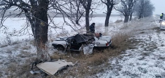 На Ставрополье ВАЗ врезался в дерево – водитель погиб