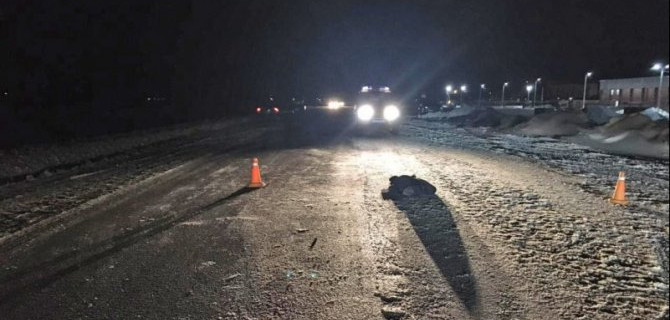 В Токаревском районе Тамбовской области автомобиль насмерть сбил мужчину