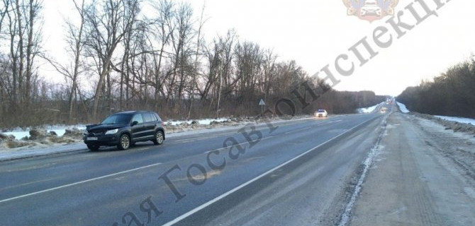 В Плавском районе Тульской области насмерть сбили женщину