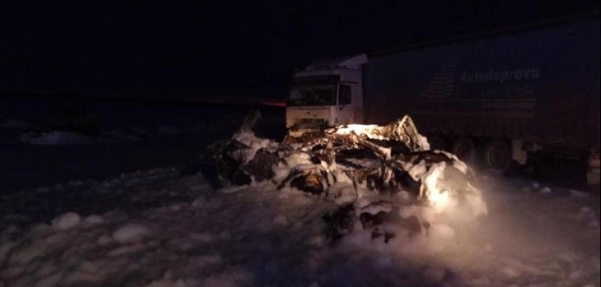 В ДТП в Курганской области погиб водитель