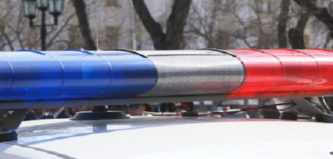 В Подмосковье грузовик насмерть сбил двух человек