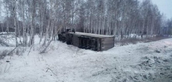 В Новосибирской области грузовик врезался в дерево – водитель погиб