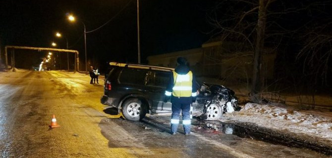 В Нижнем Тагиле иномарка врезалась в дерево – погибли два человека