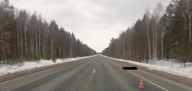 В Марий Эл неизвестный насмерть сбил молодого мужчину