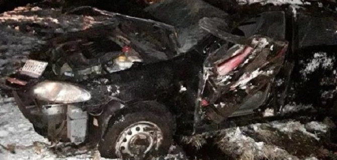 В Псковской области автомобиль вылетел в кювет – пострадали два человека