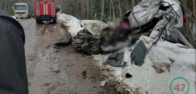 Два человека погибли в ДТП с лесовозом в Ленобласти