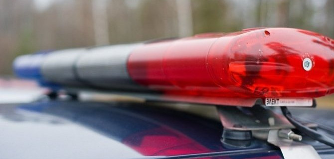 В Москве автомобиль сбил женщину с двумя маленькими детьми